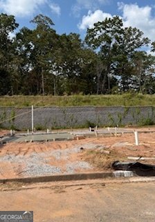 388 Maple View Drive Carrollton - main photo