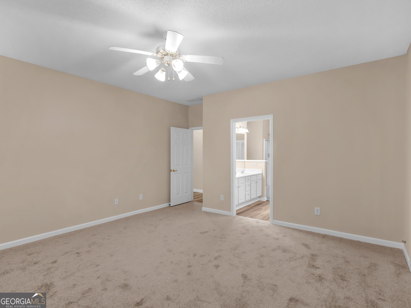 161 Spring Creek Boulevard McDonough - 17