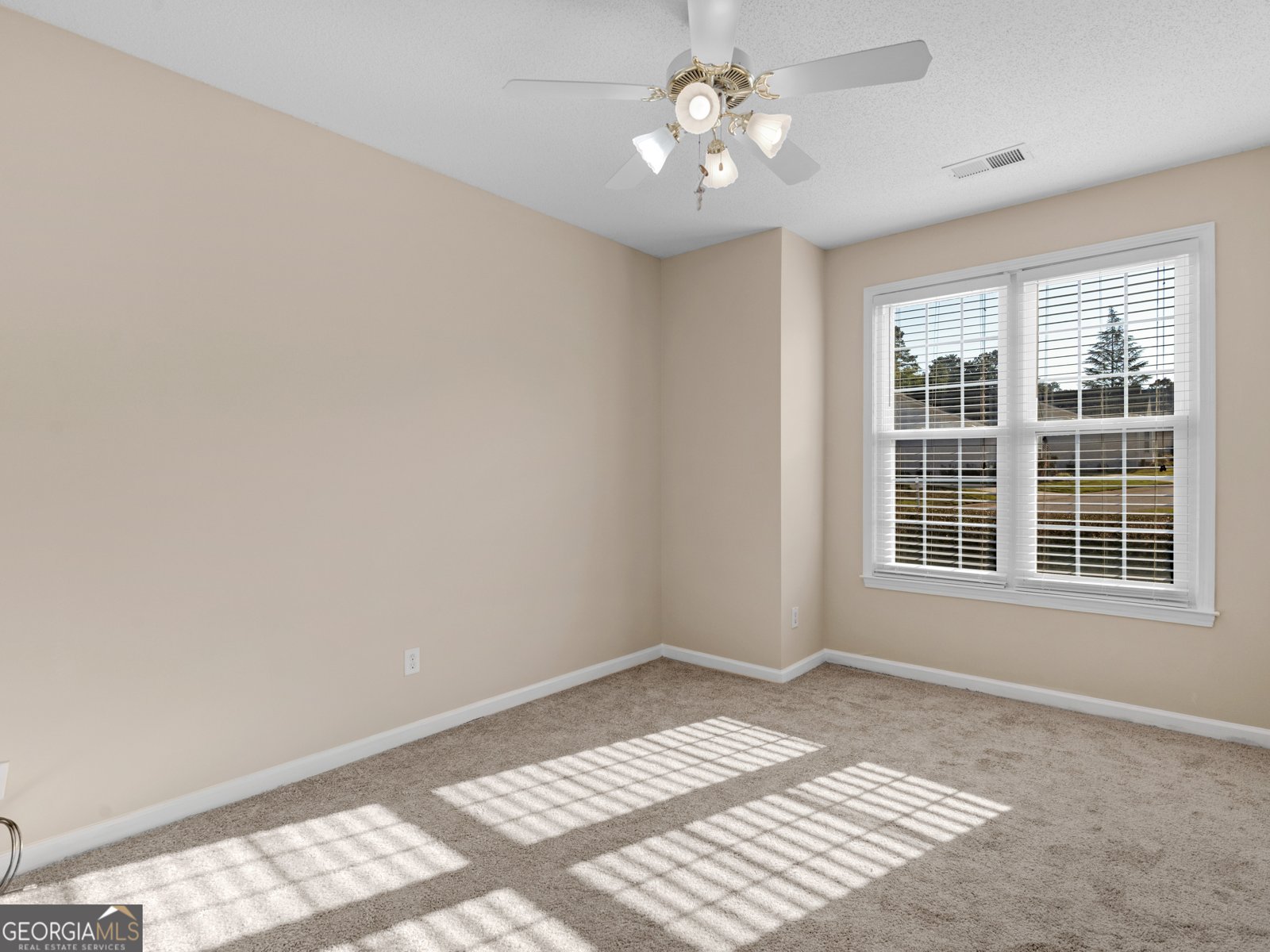 161 Spring Creek Boulevard McDonough - 22