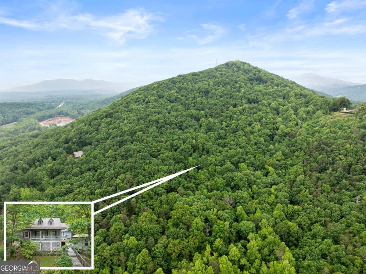 705 & 0 Long Mountain Road Cleveland - 1