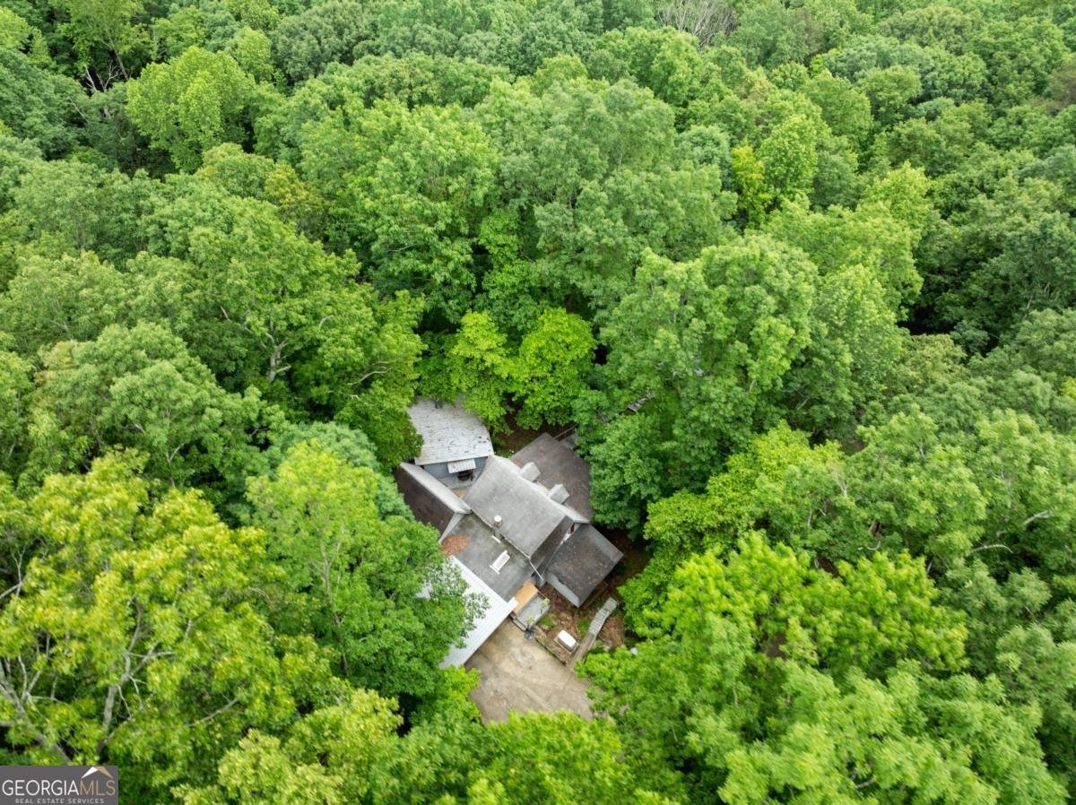 705 & 0 Long Mountain Road Cleveland - 34