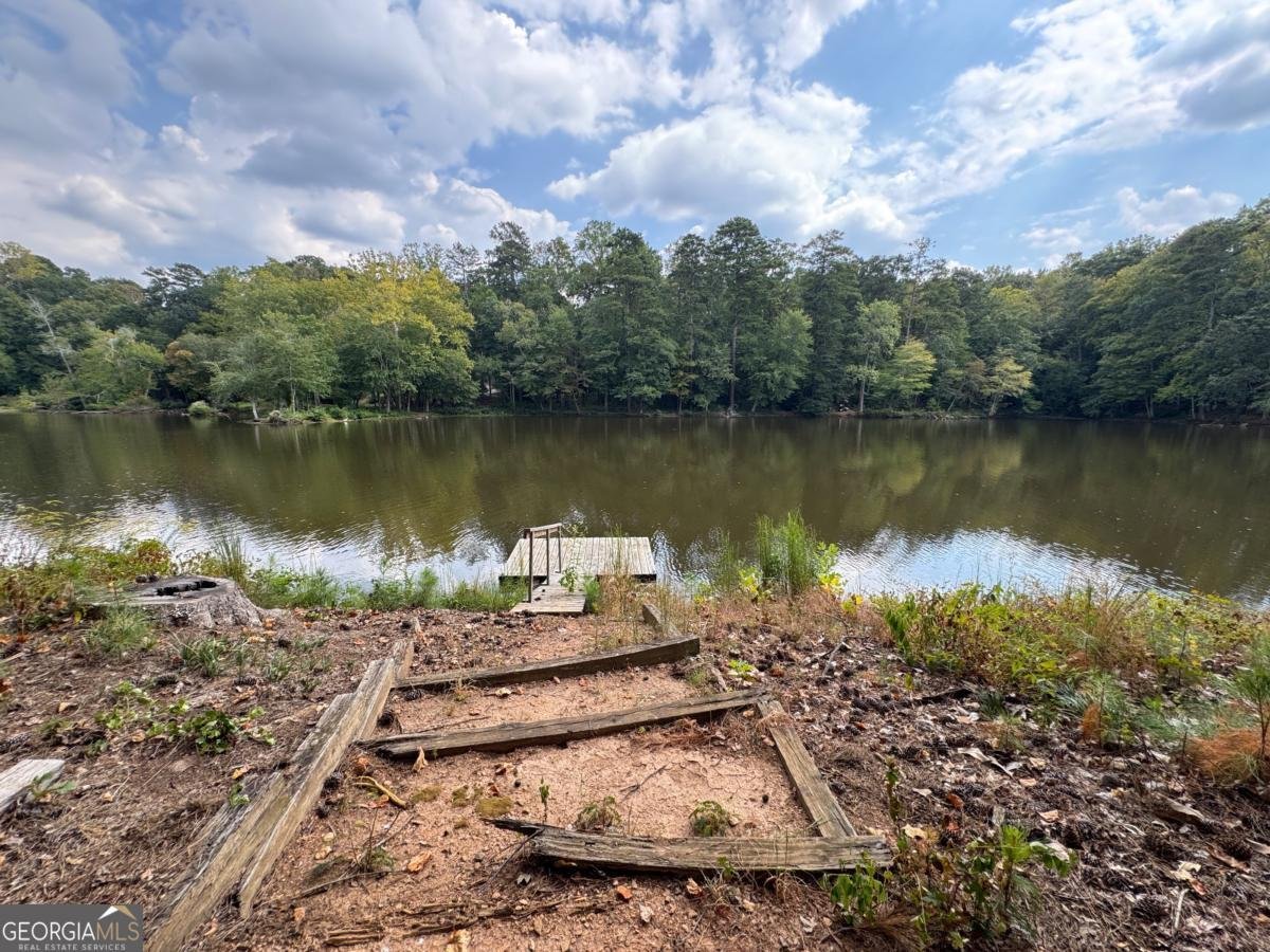 1359 Ragley Hall Road Brookhaven - 4