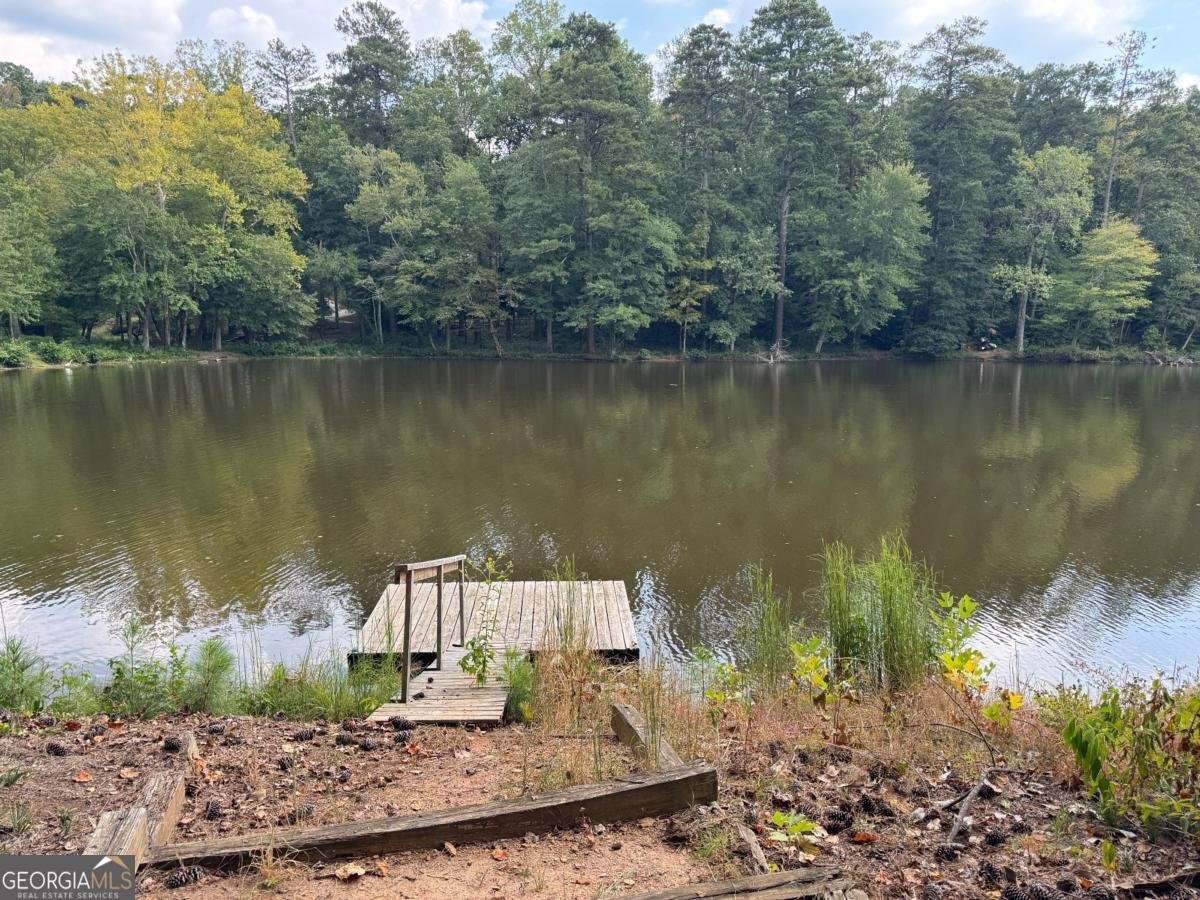 1359 Ragley Hall Road Brookhaven - 5