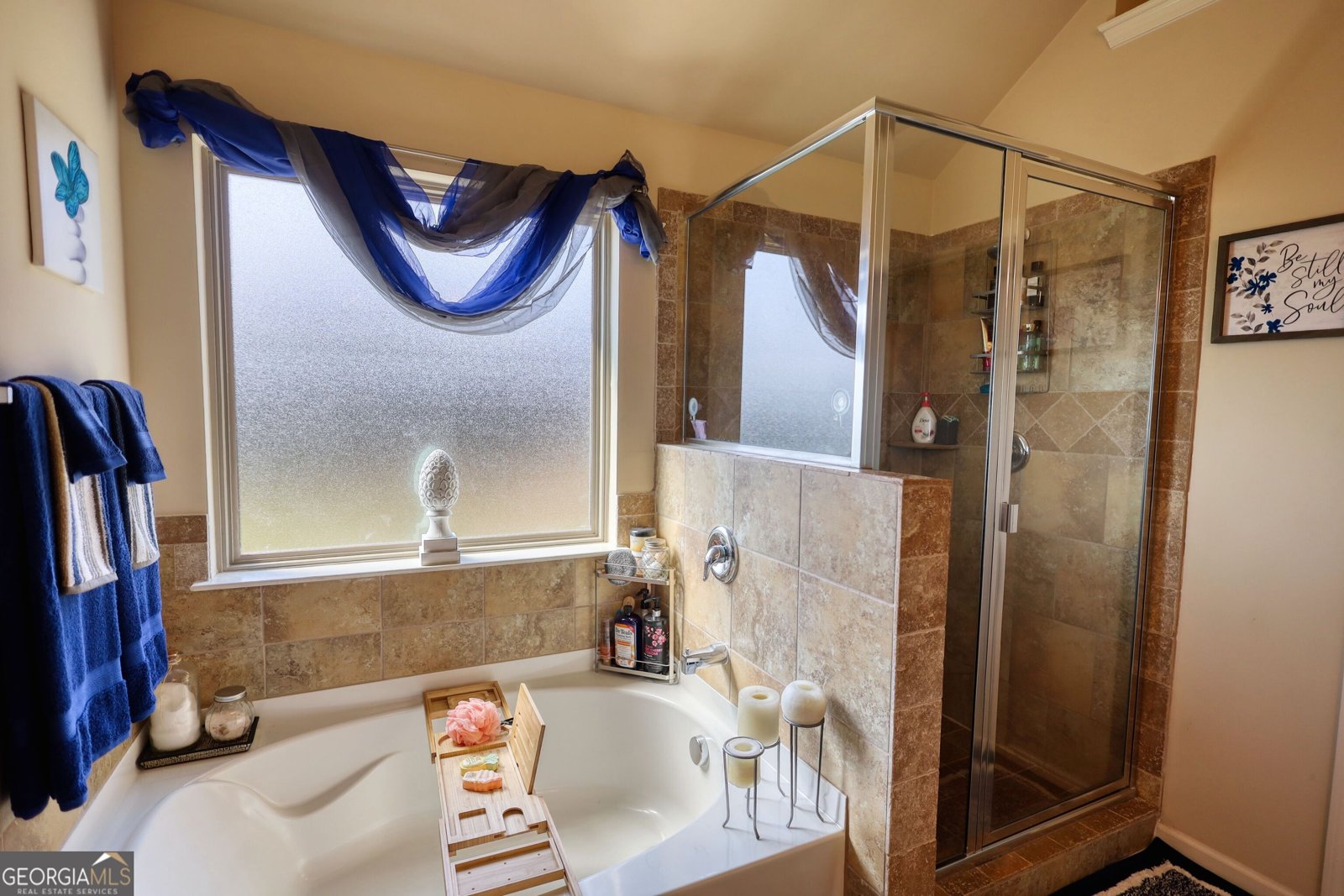 2489 BRITTANY PARK Lane Ellenwood - 70