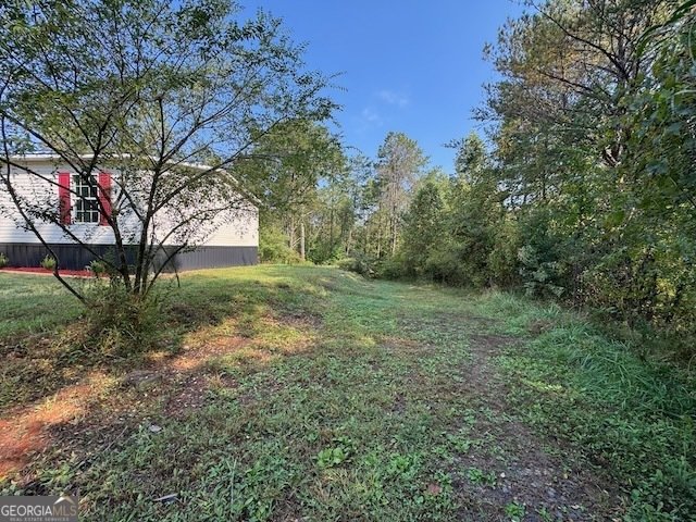 236 Washington Wilson Loop Blue Ridge - 24