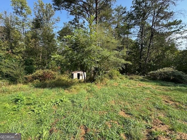 236 Washington Wilson Loop Blue Ridge - 26