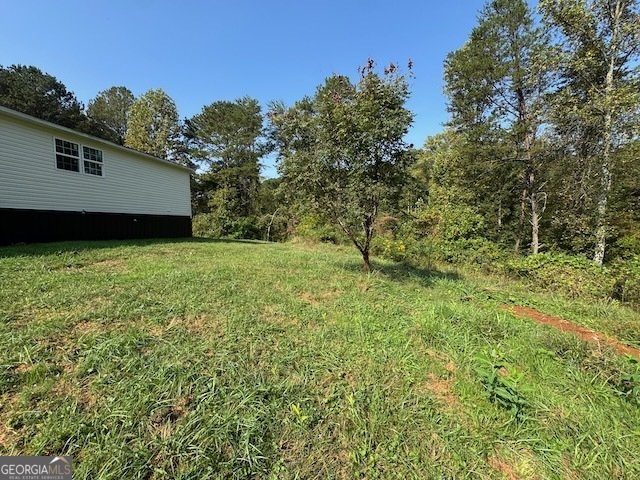 236 Washington Wilson Loop Blue Ridge - 27
