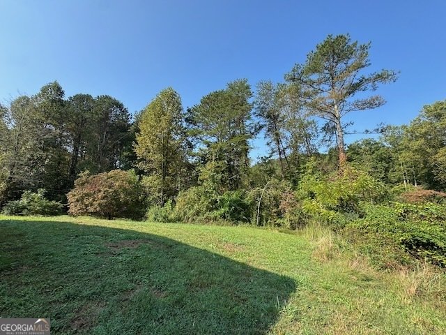 236 Washington Wilson Loop Blue Ridge - 29