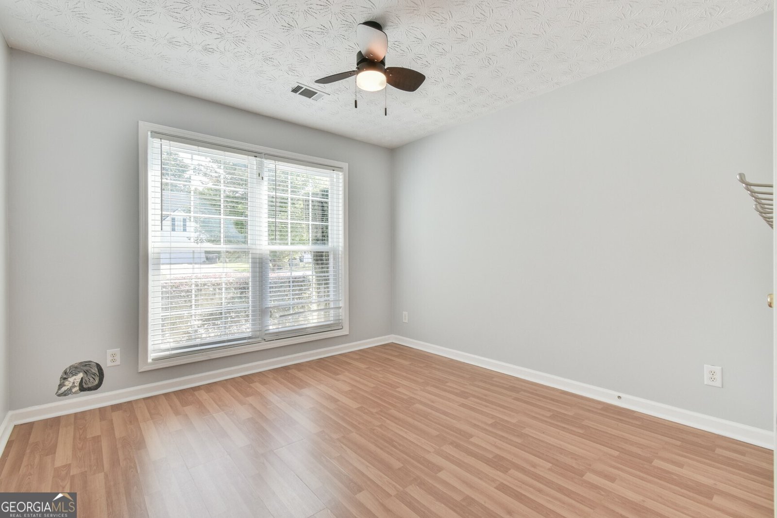 1040 Spring Ives Drive Lawrenceville - 13
