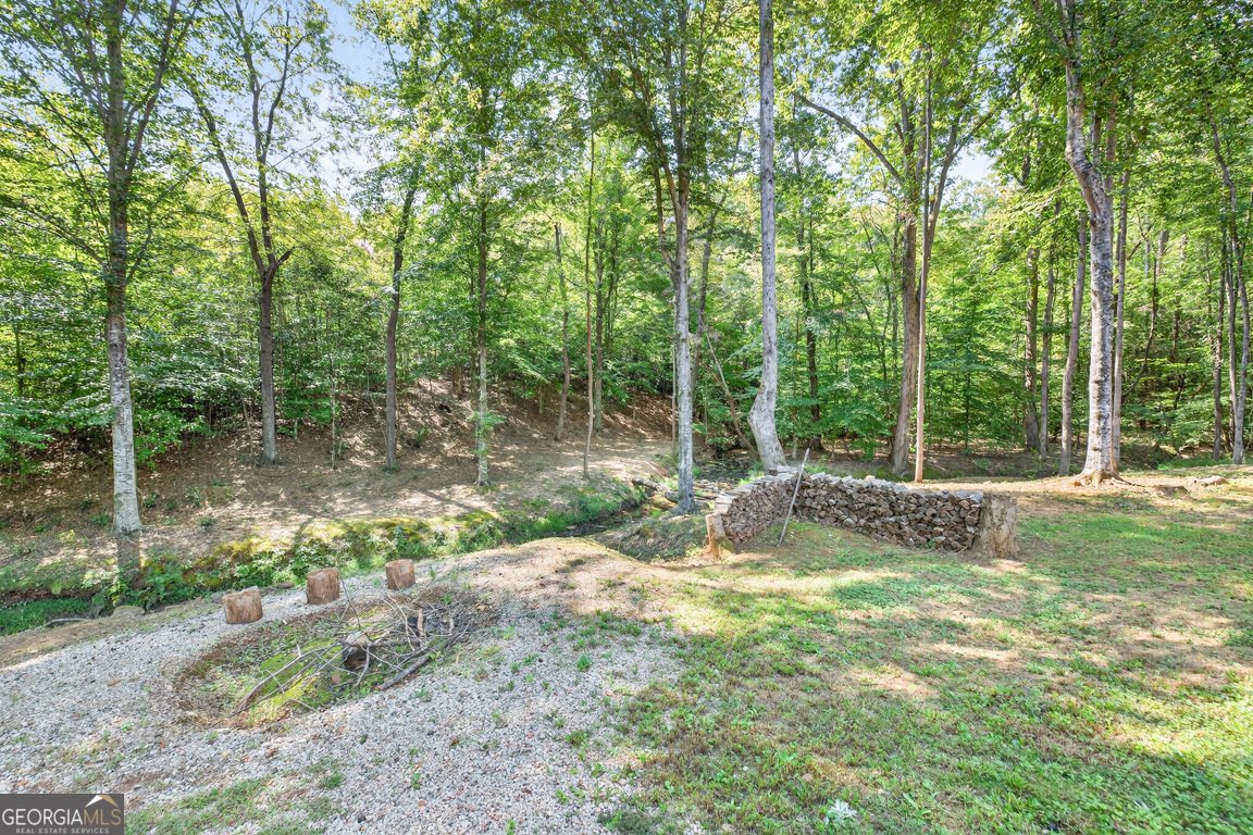 214 Cannon Creek Homer - 61