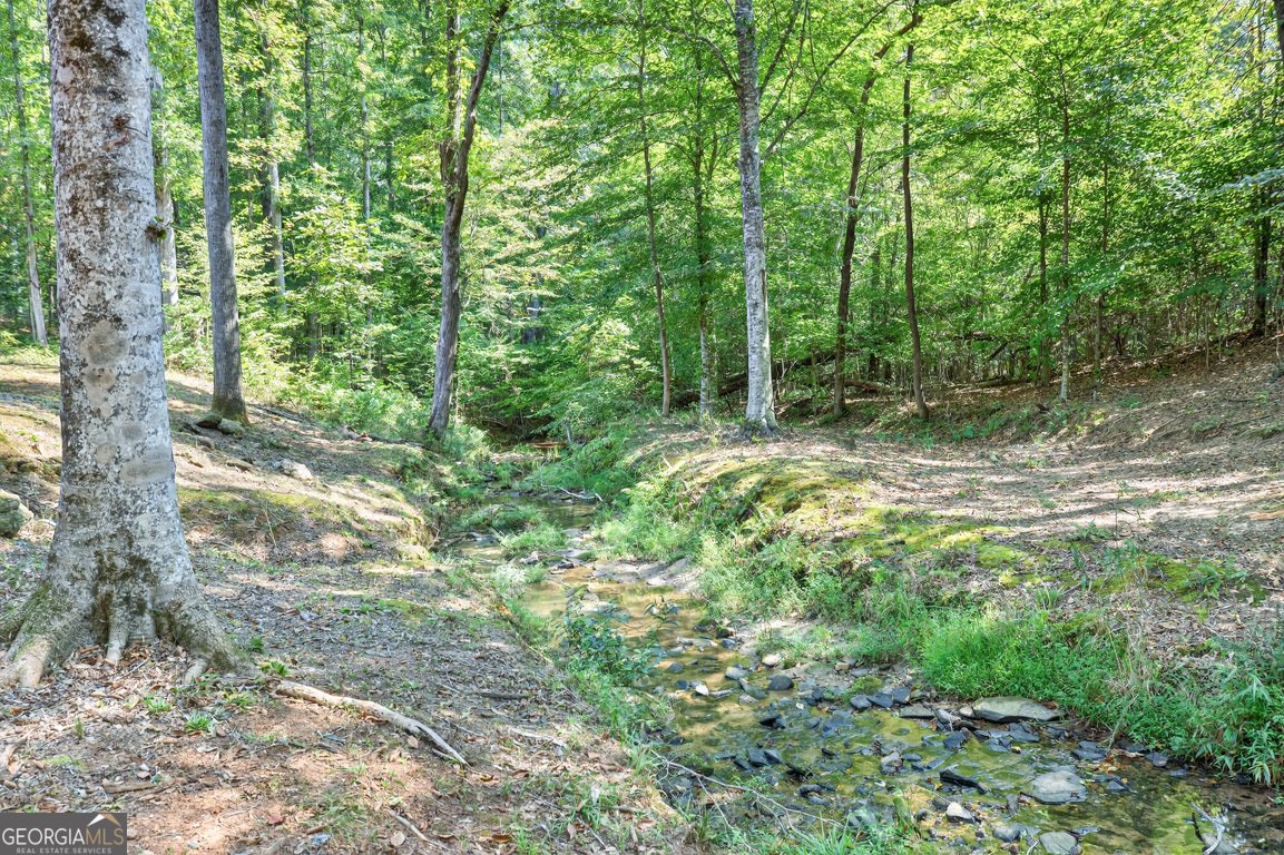 214 Cannon Creek Homer - 62