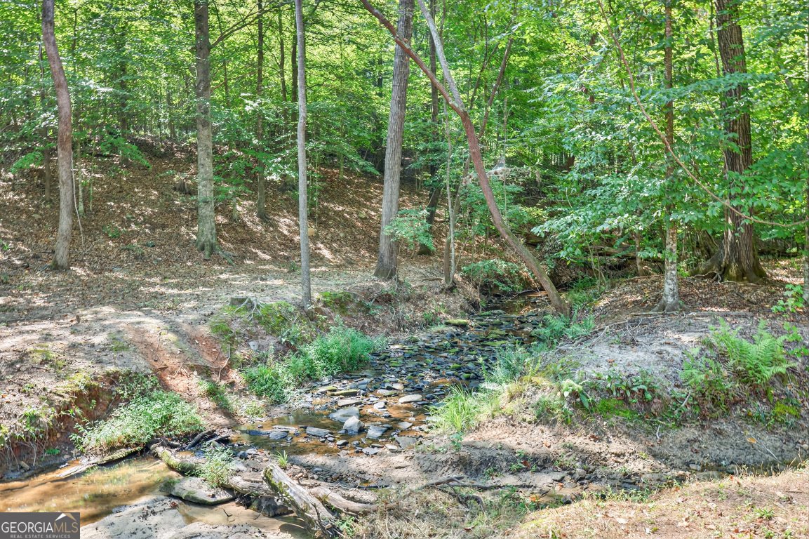 214 Cannon Creek Homer - 63