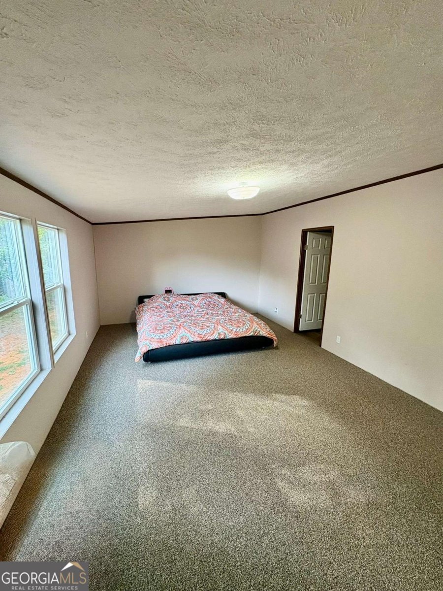305 Langford Carey Road Danielsville - 14