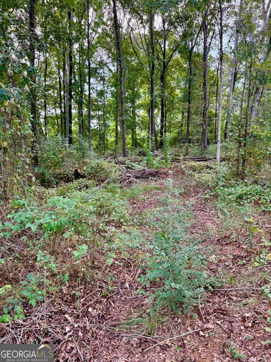 305 Langford Carey Road Danielsville - 6