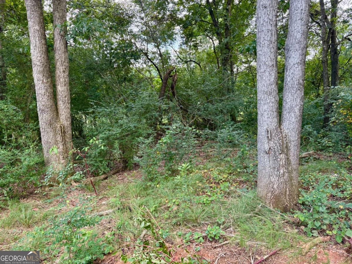 305 Langford Carey Road Danielsville - 7