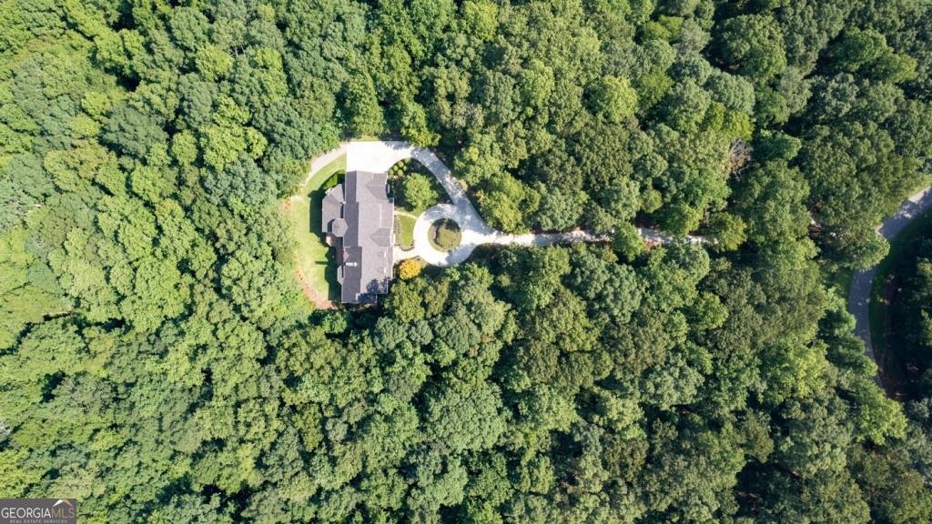 55 Summit Trail Lane Dawsonville - 72