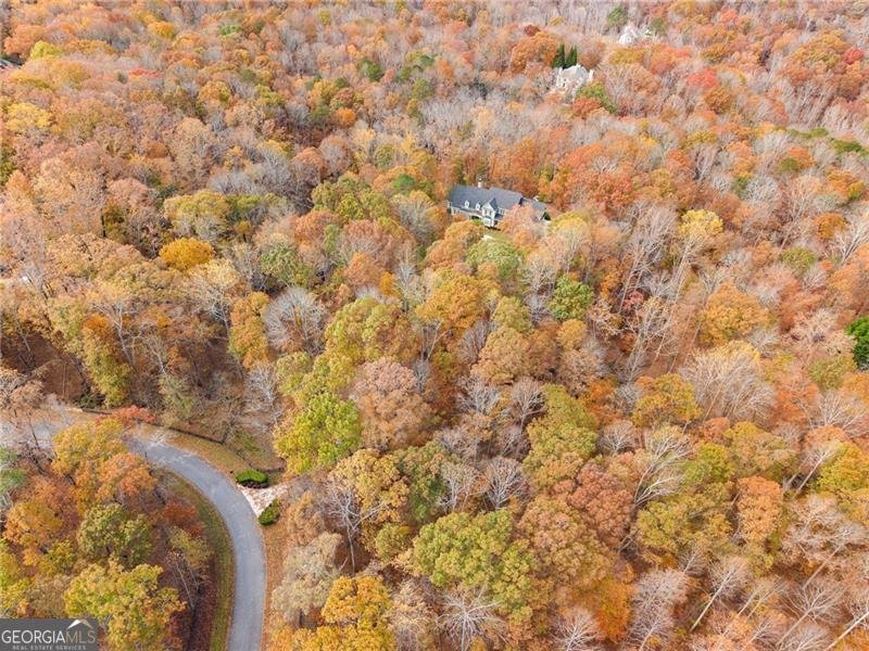 55 Summittrail Lane Dawsonville - 91