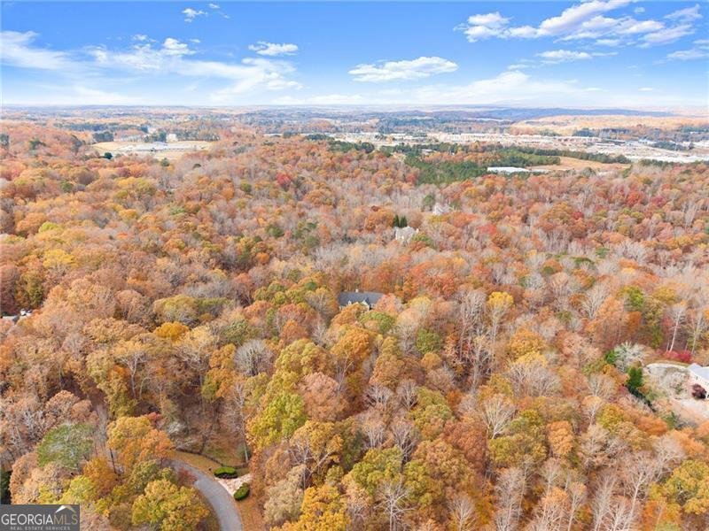 55 Summittrail Lane Dawsonville - 92