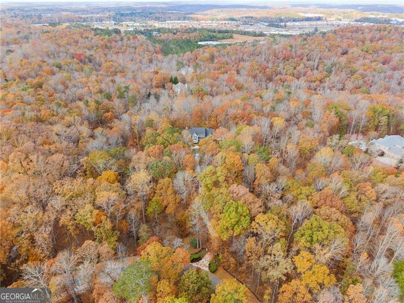 55 Summittrail Lane Dawsonville - 95