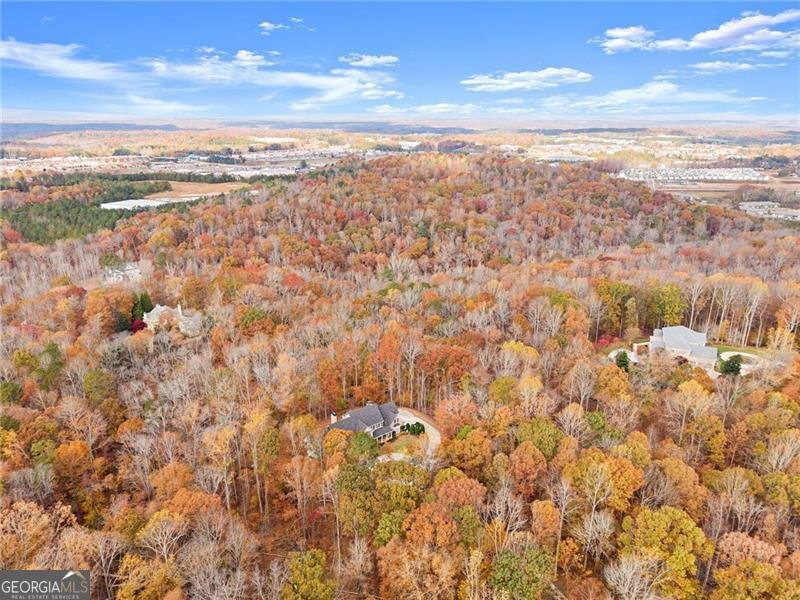 55 Summittrail Lane Dawsonville - 98