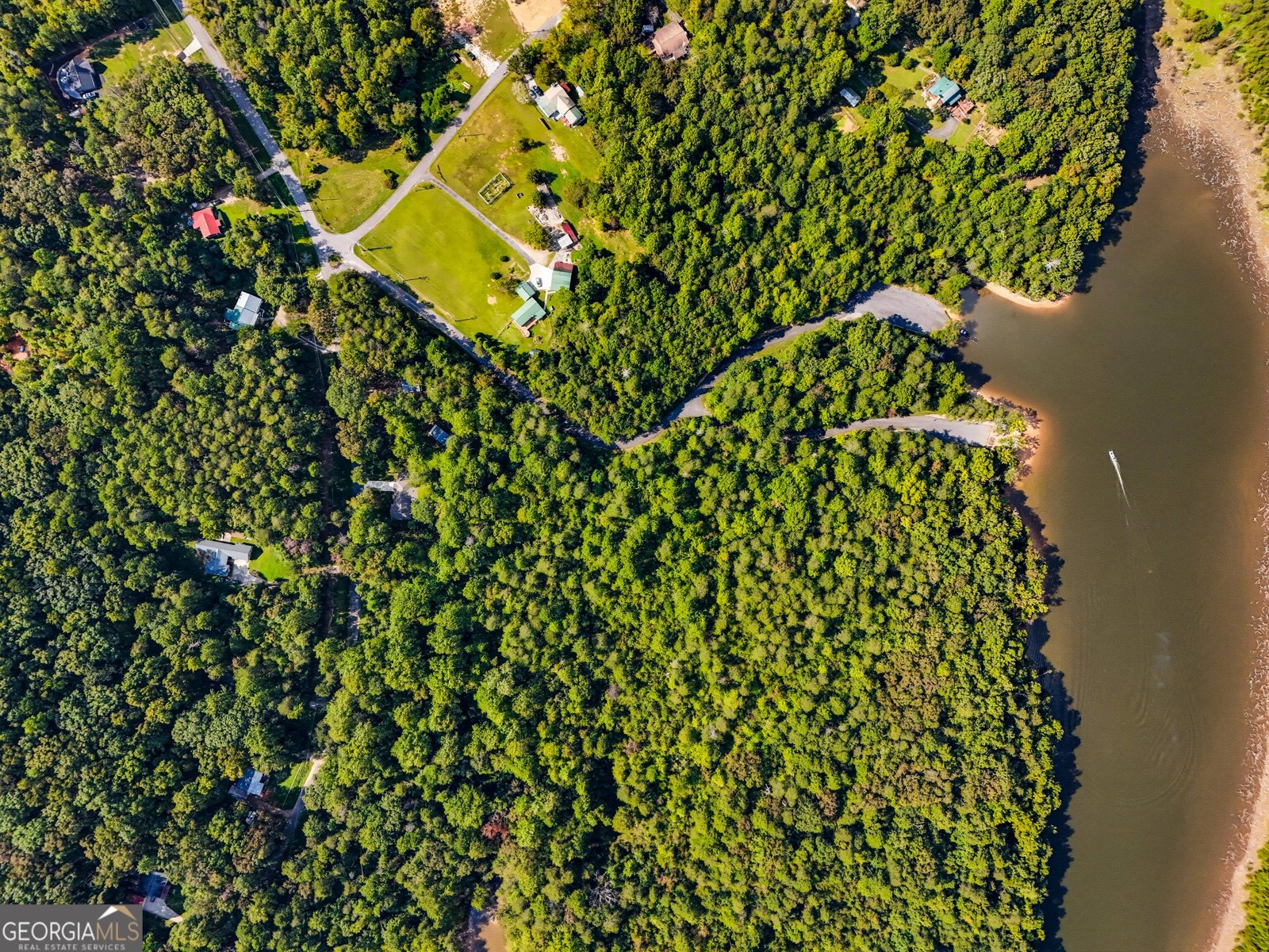 81 Shore Drive Dahlonega - 4