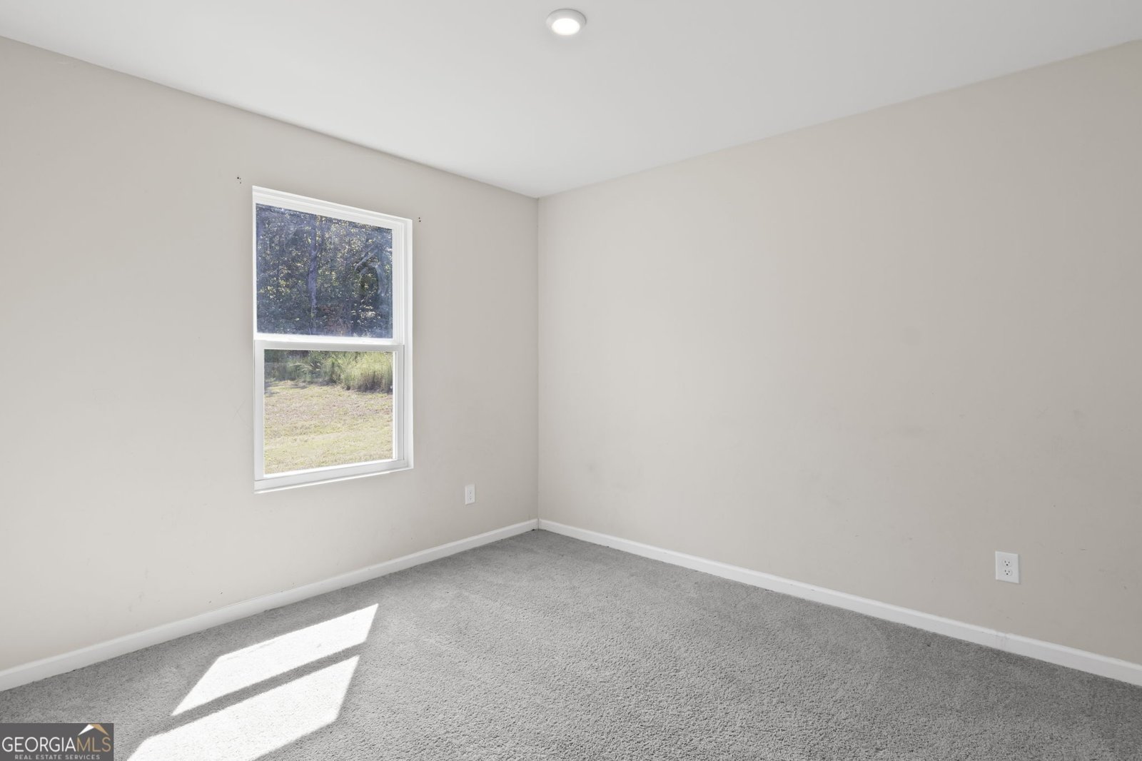 1086 Hunter Welch Parkway Luthersville - 15