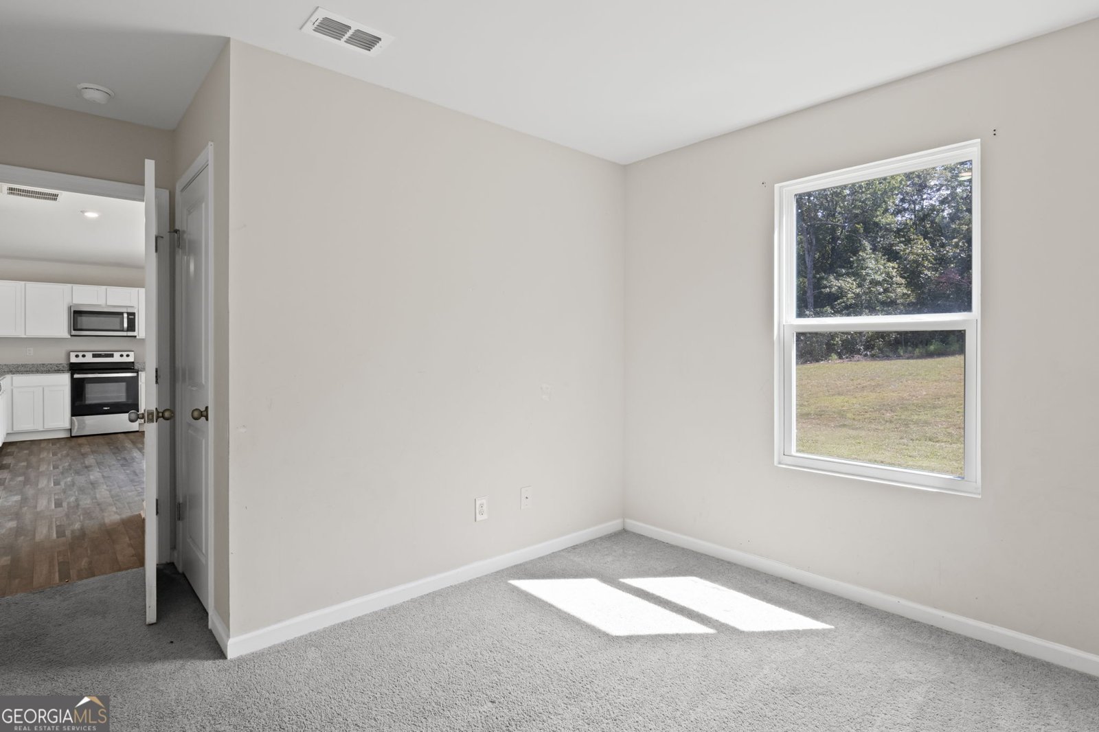 1086 Hunter Welch Parkway Luthersville - 16