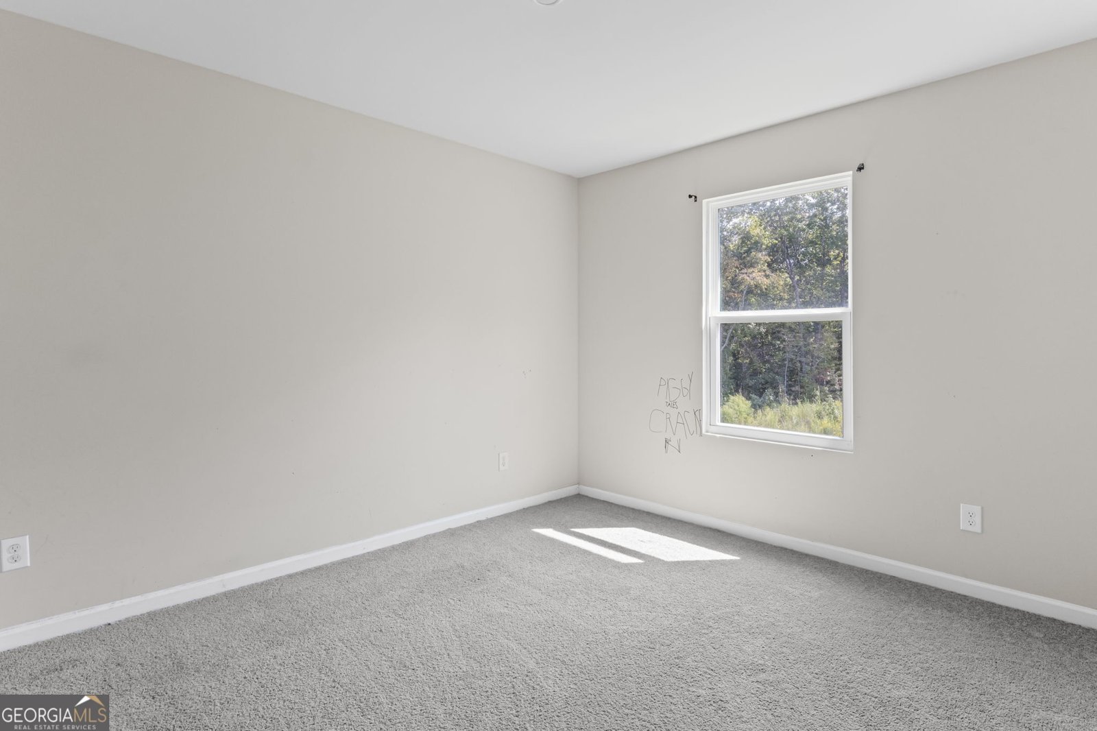 1086 Hunter Welch Parkway Luthersville - 19