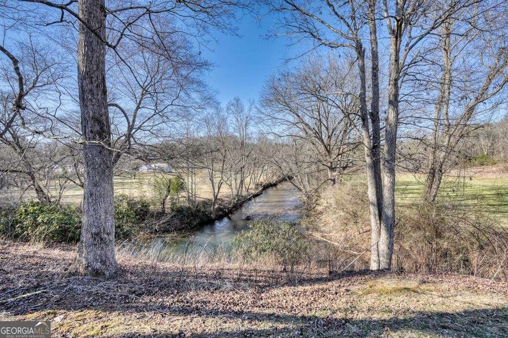 578 Jimmy Nicholson Road Blairsville - 10