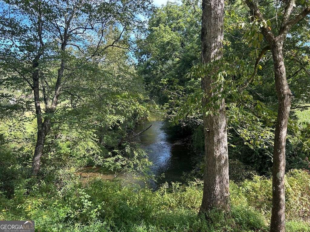 578 Jimmy Nicholson Road Blairsville - 2