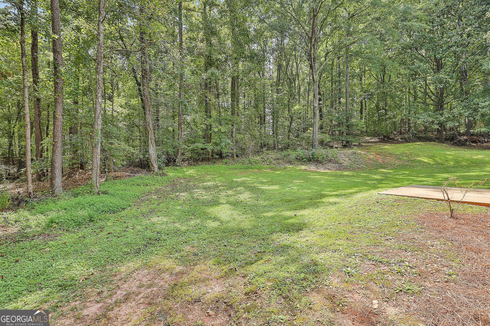 20 Beaver Court Newnan - 40
