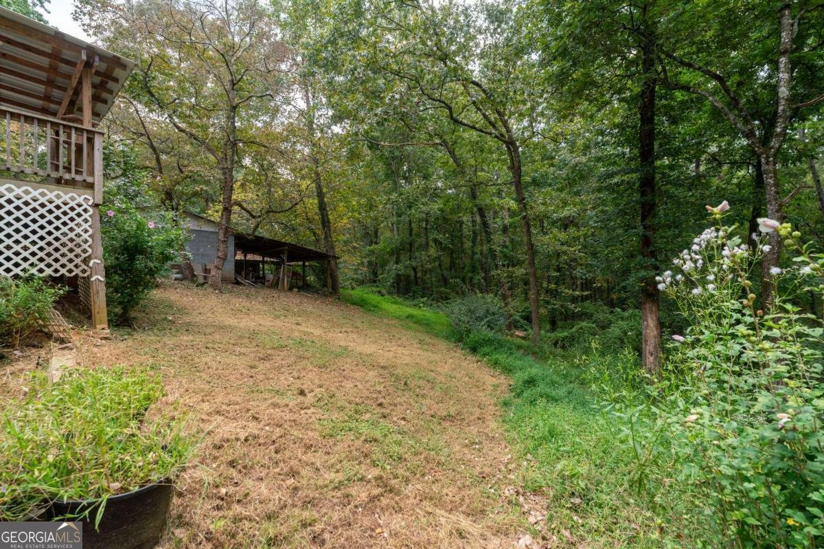 3720 Knox Bridge Highway Canton - 10
