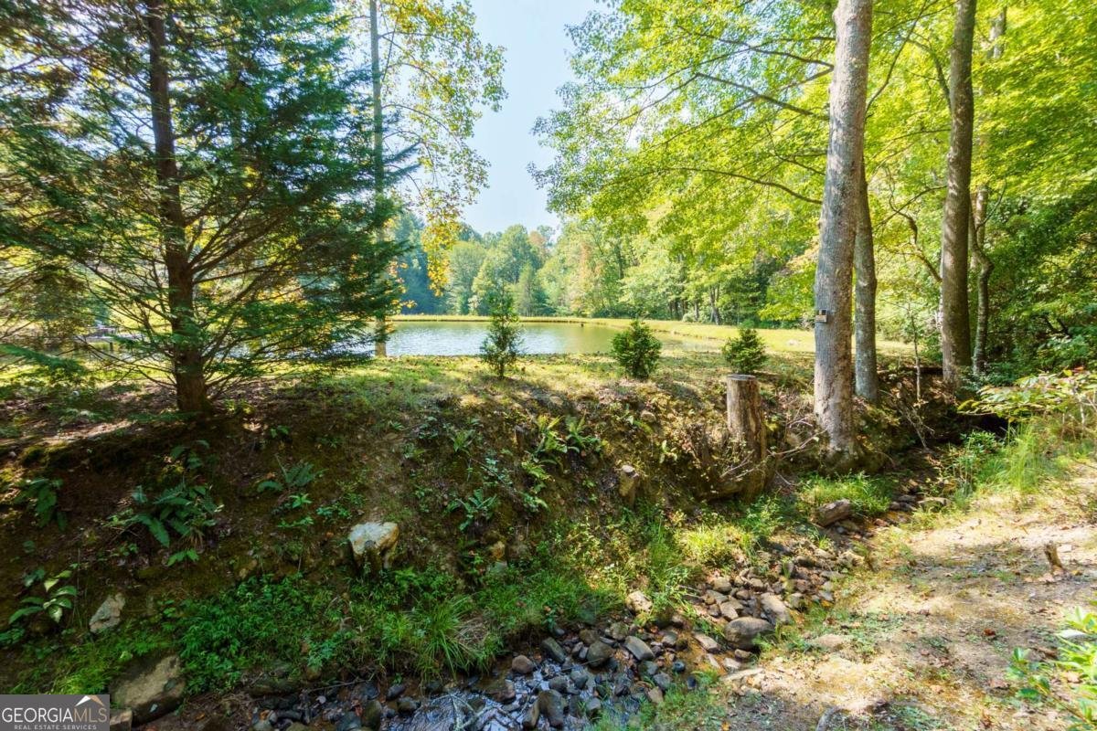 35 Wunder Bear Ridge Road Morganton - 50