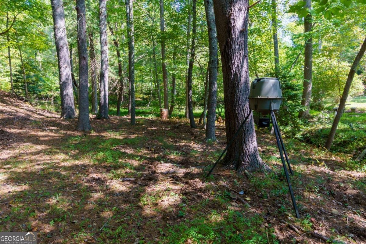 35 Wunder Bear Ridge Road Morganton - 55