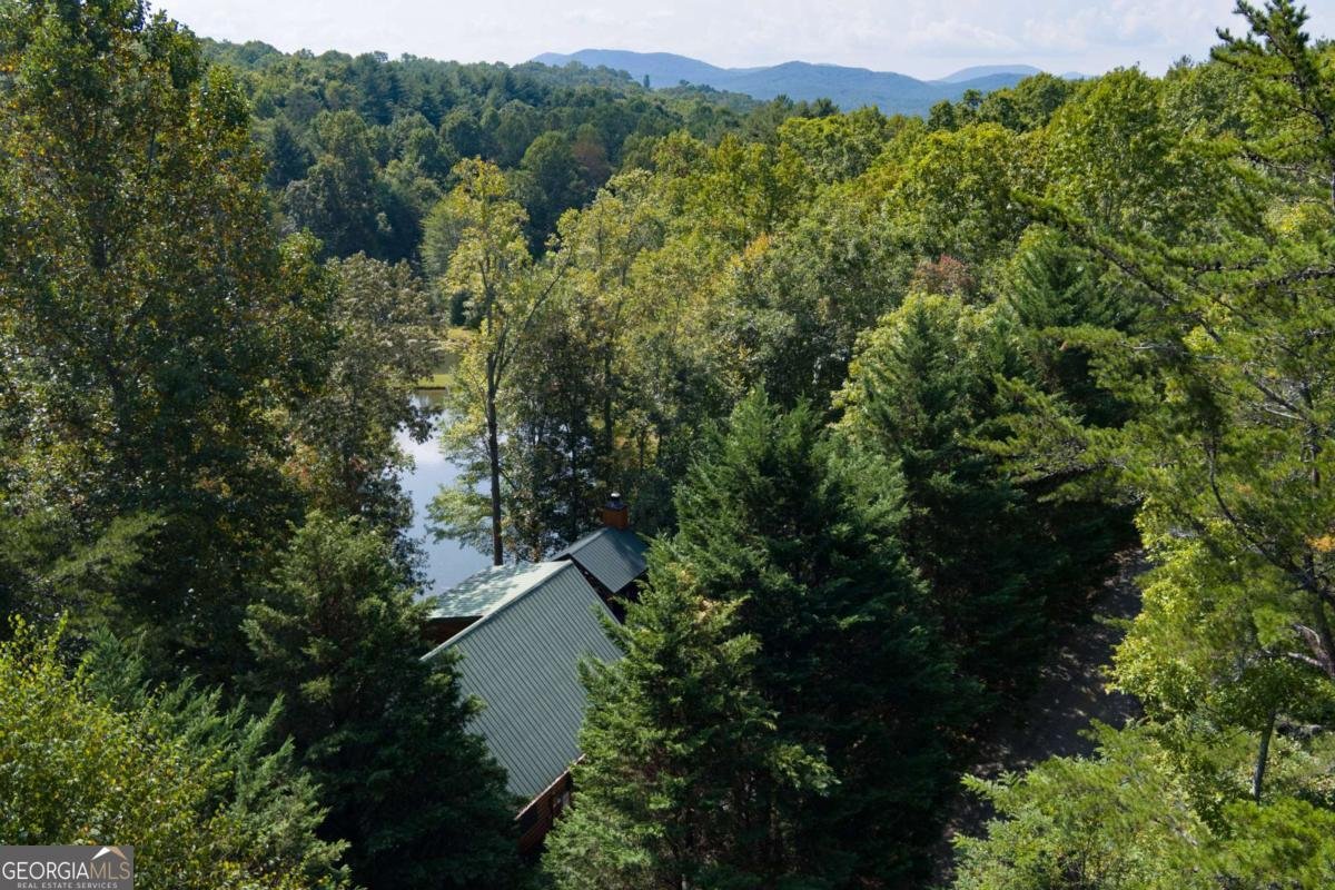 35 Wunder Bear Ridge Road Morganton - 57