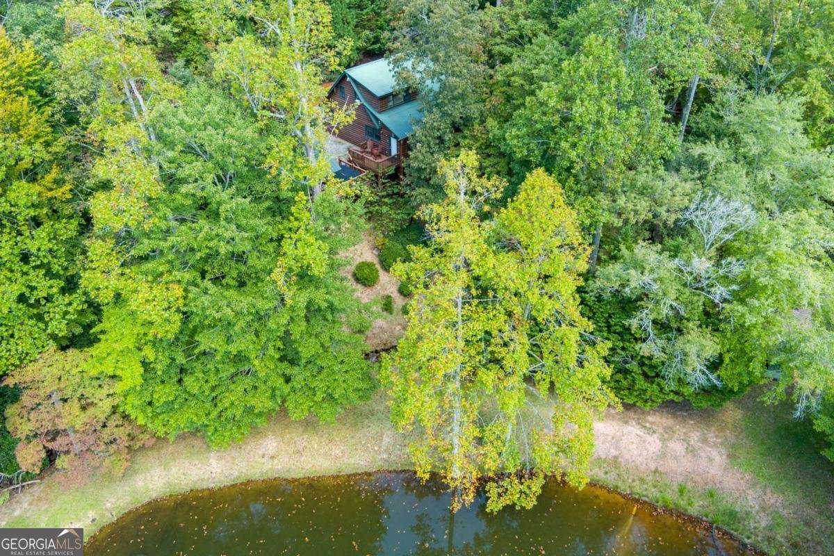 35 Wunder Bear Ridge Road Morganton - 60