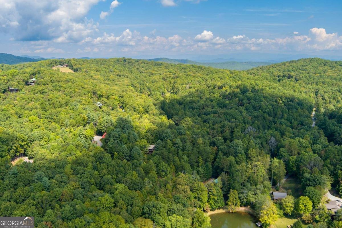 35 Wunder Bear Ridge Road Morganton - 8