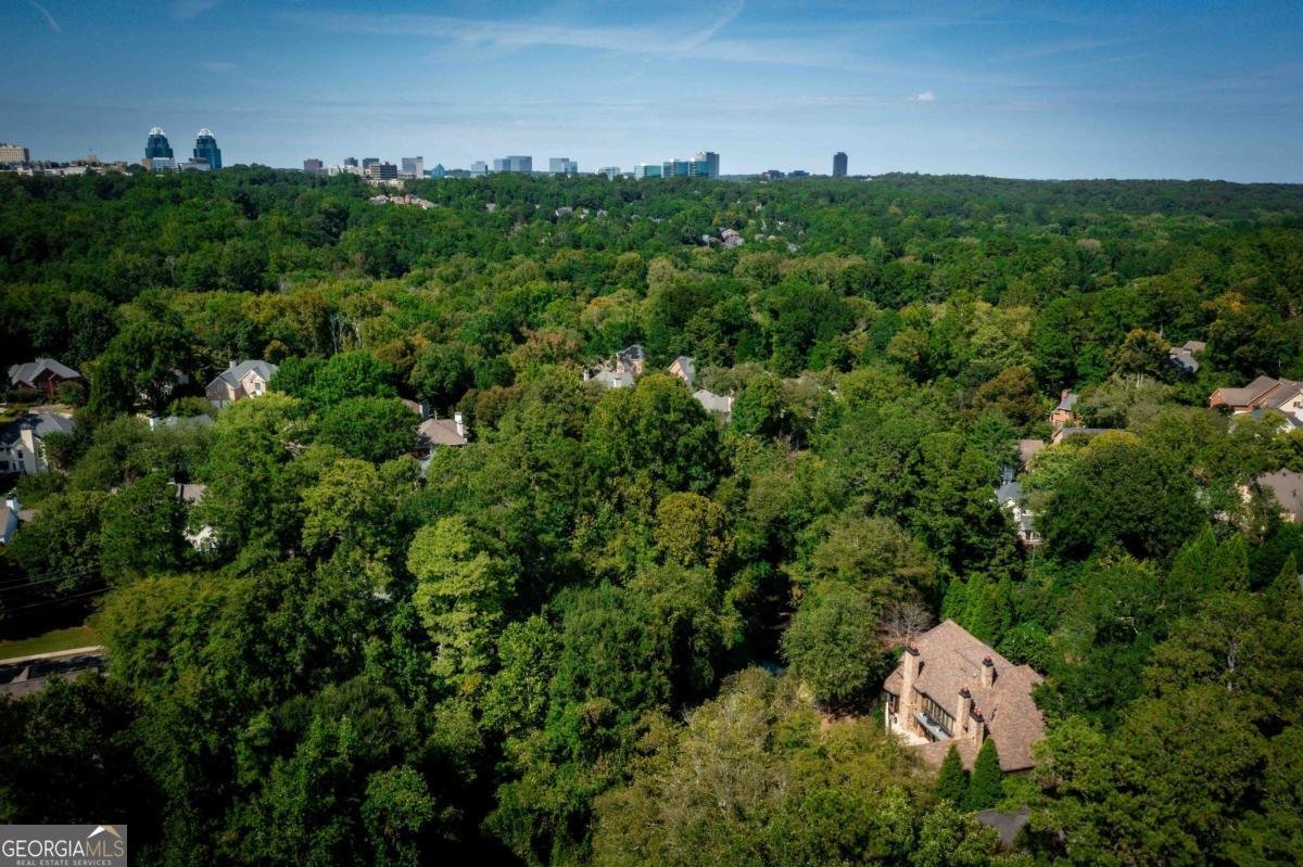 3558 Mill Creek Road Atlanta - 43
