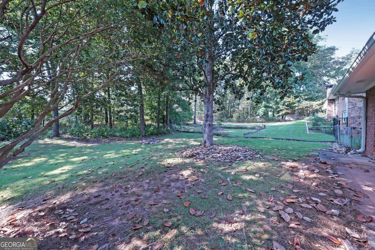 3950 Sherwood Drive Douglasville - 32