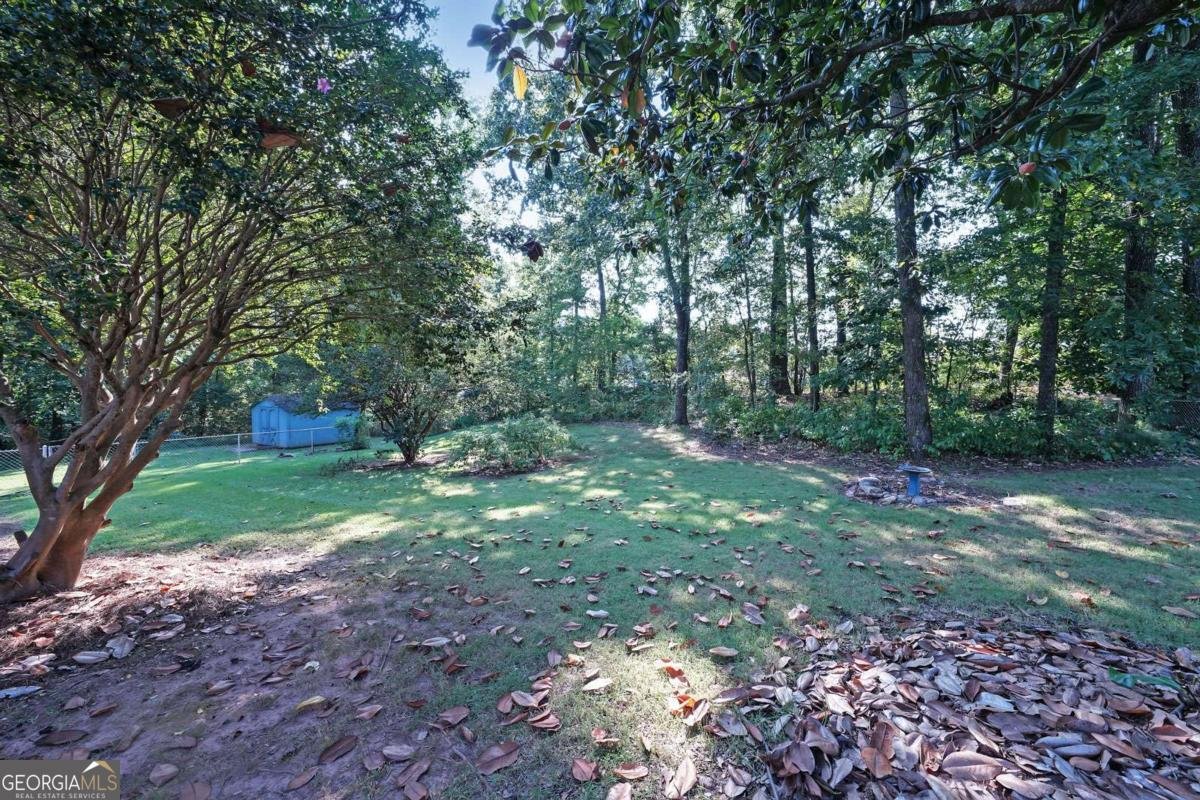 3950 Sherwood Drive Douglasville - 33