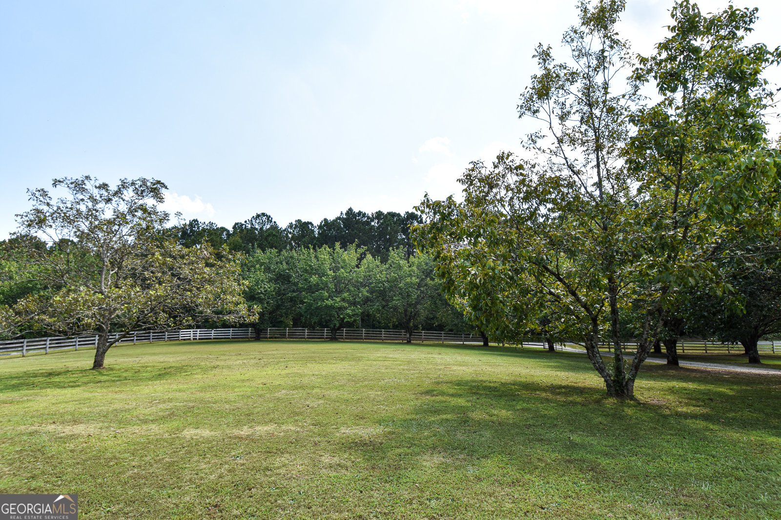518 Strickland Road Concord - 3