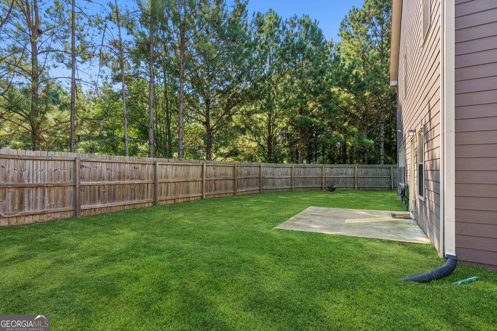 4241 Haywater Cove Buford - 28