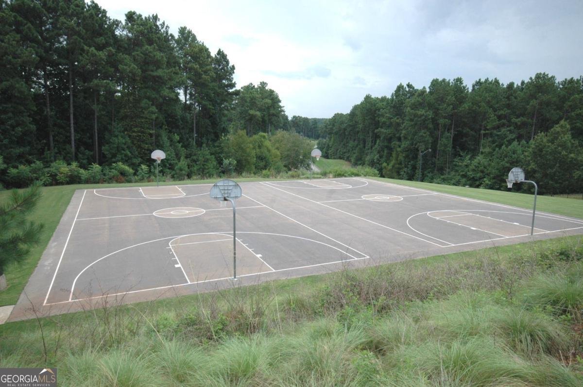 2018 Boxwood Lane Canton - 52