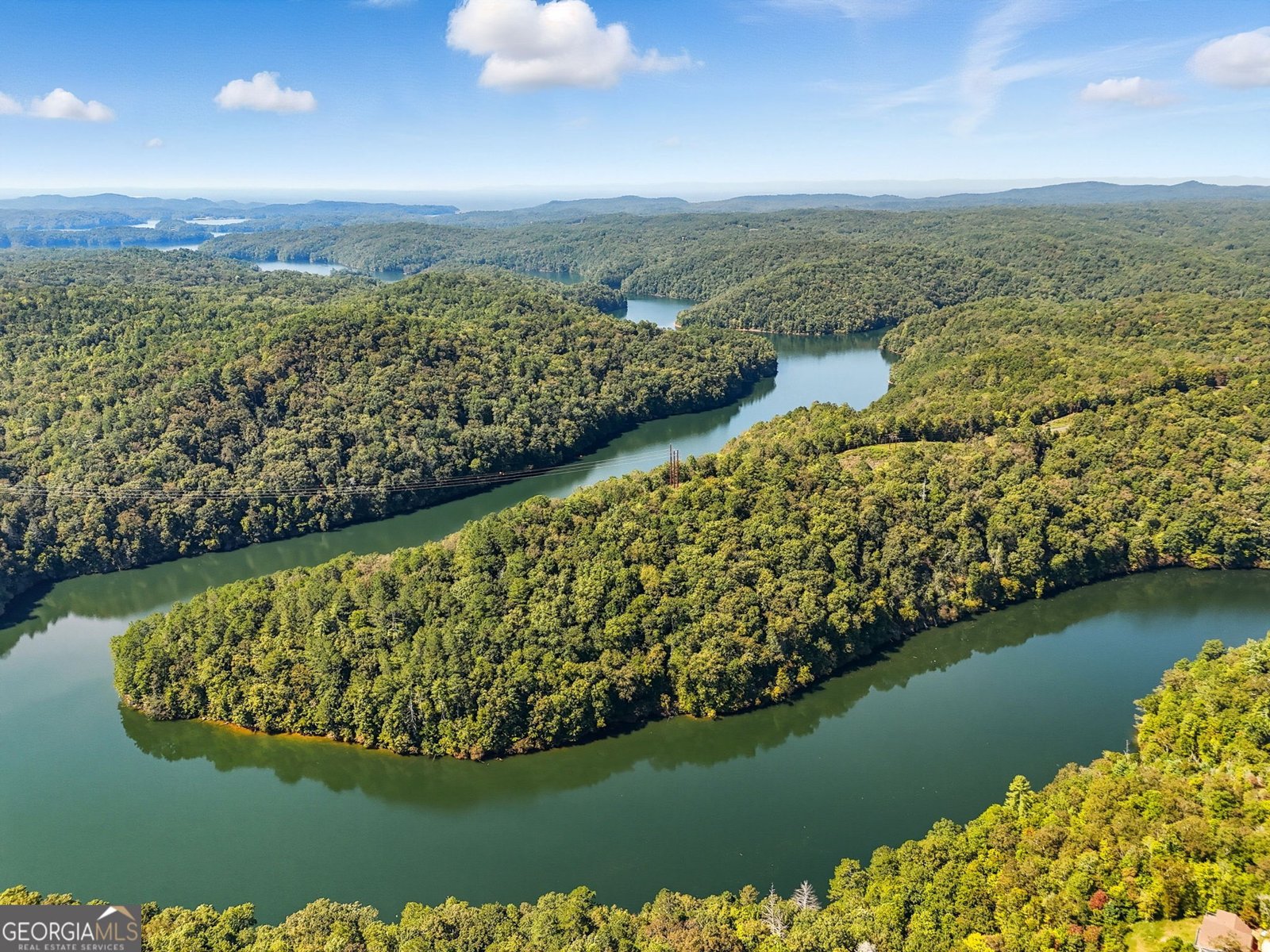 144 Monet Drive Ellijay - 38