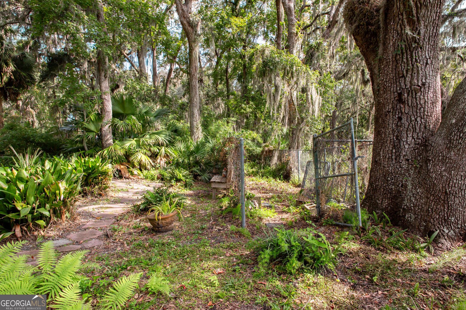 241 Satilla Drive Brunswick - 15