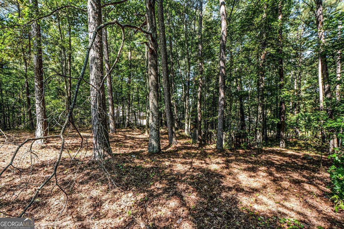 3078 Essex Drive Villa Rica - 21