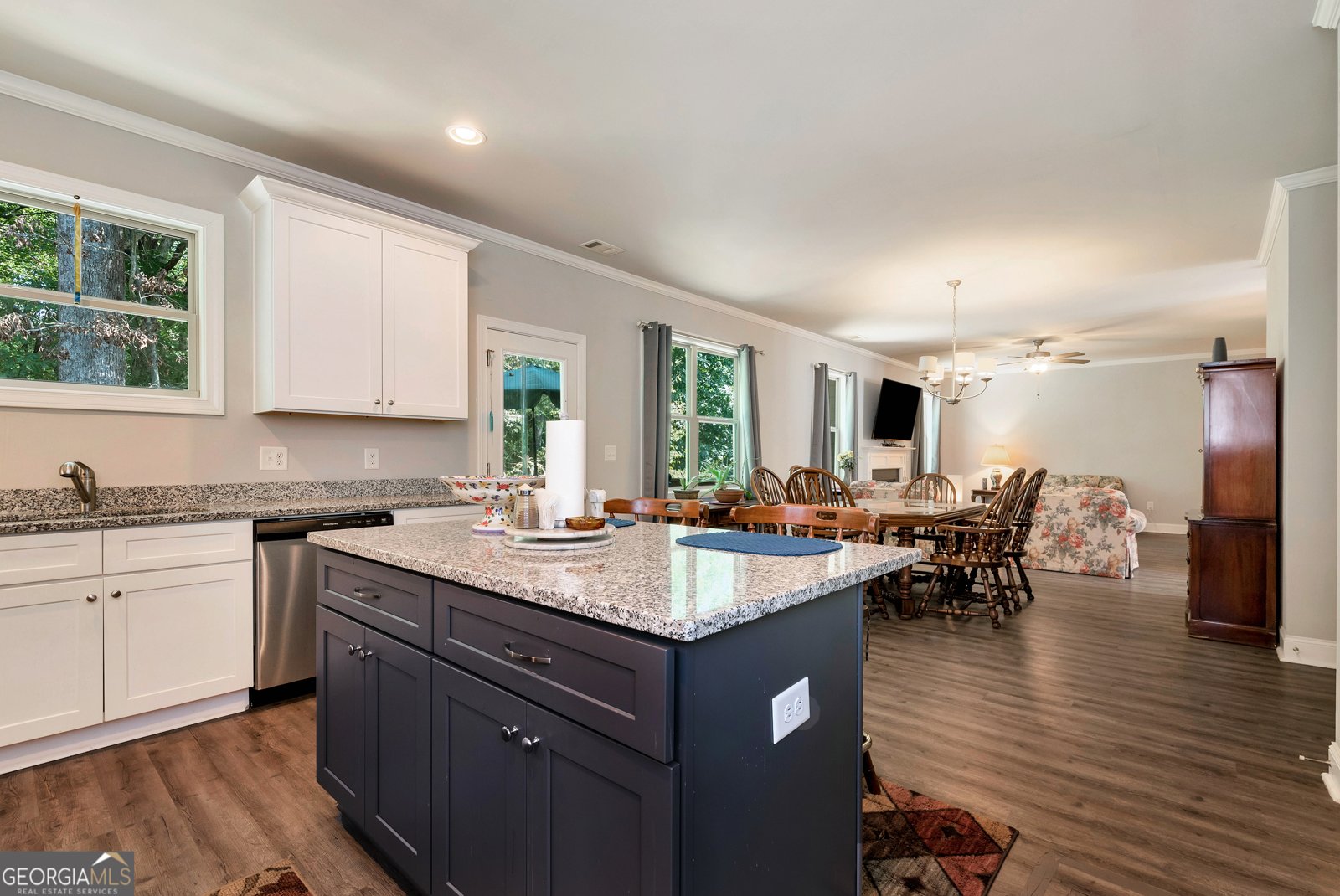 516 Brooks Village Drive Pendergrass - 6