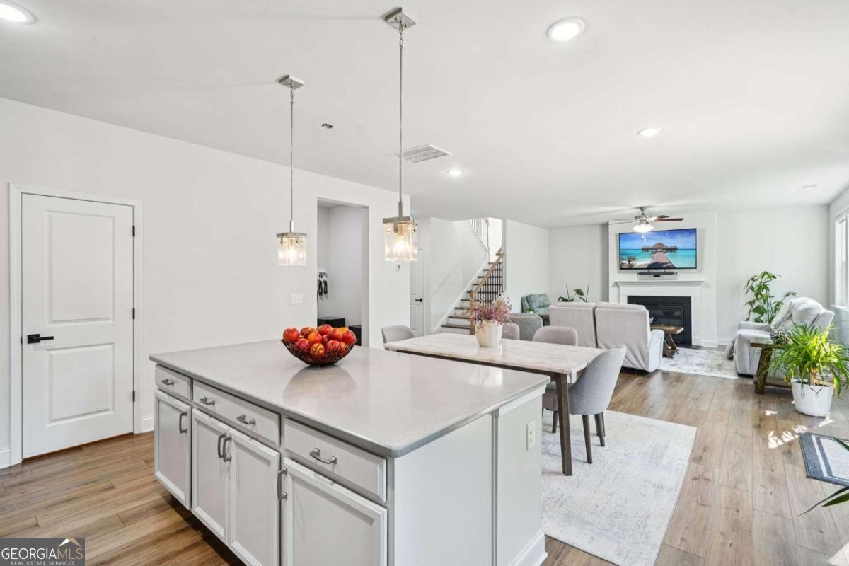 2424 Pinnae Place Buford - 4