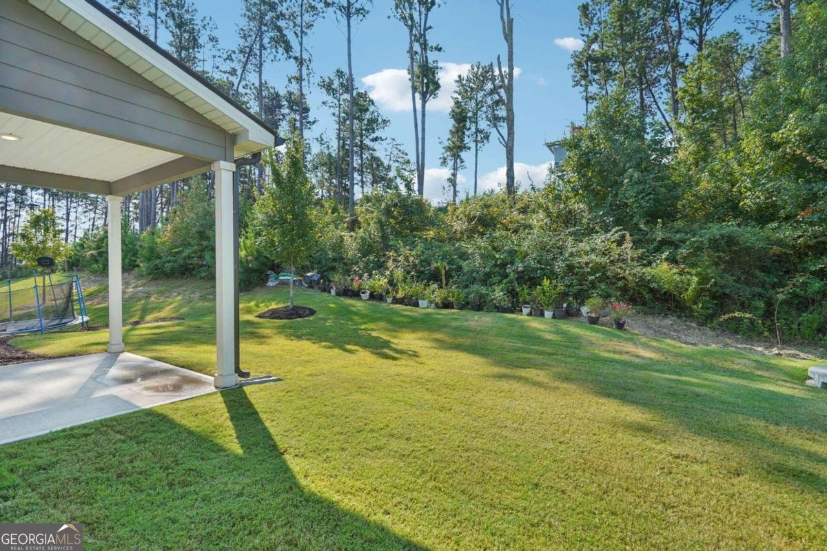 2424 Pinnae Place Buford - 44