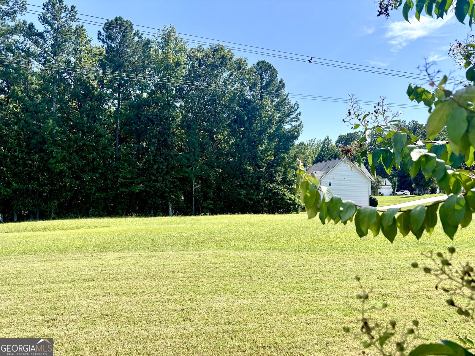 1102 Strath Clyde Way McDonough - 38